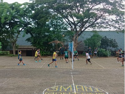 Ektra VOLLY