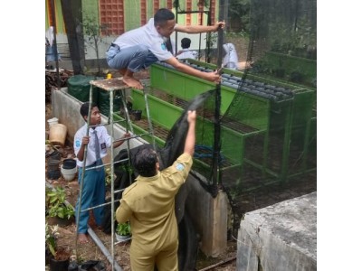 Perbaikan Paranet - GreenHouse